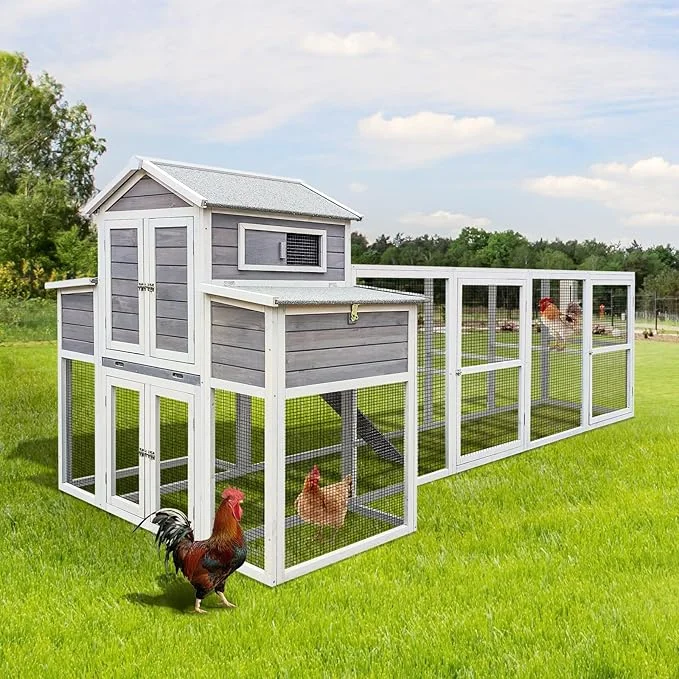 "150" Large Chicken Coop for 6-10 Chickens