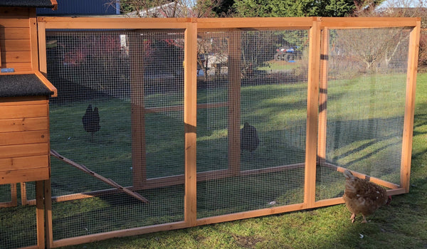 Resort Run only . IN_STOCK